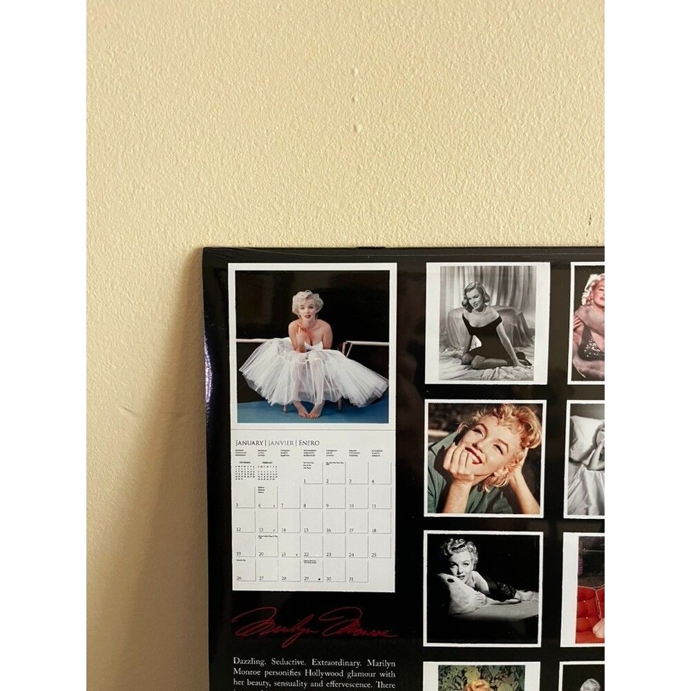 Graphique 2025 Marilyn Monroe Wall Calendar | 12” x 12" - Set of 3 New & Sealed - Picture 3 of 3